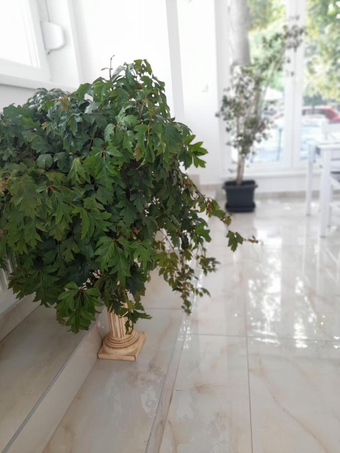 Orion Panzio Bed & Breakfast Hajduszoboszlo Exterior photo
